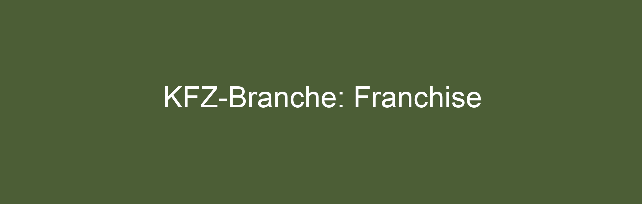 KFZ-Branche: Franchise